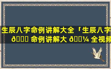 生辰八字命例讲解大全「生辰八字 🐛 命例讲解大 🐼 全视频」